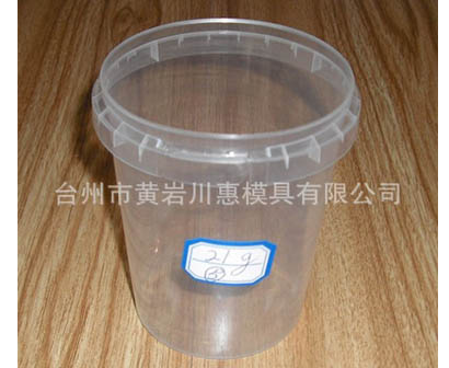 plastic thin wall mould-113